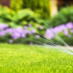 Why We’re Among the Top Rated Landscape Companies Near Me