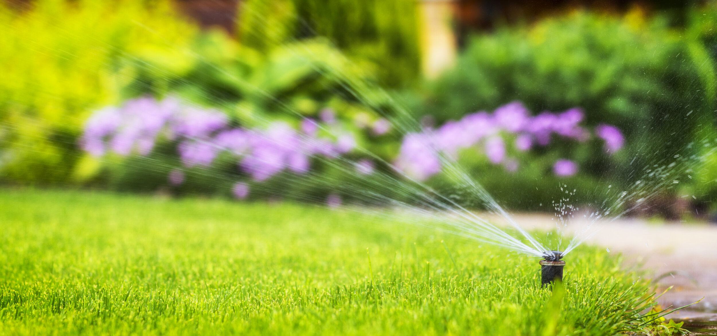 Choosing the Best Lawn Fertilizing Company for a Healthy, Vibrant Lawn