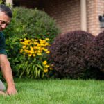 Choosing the Best Lawn Fertilizing Company for a Healthy, Vibrant Lawn